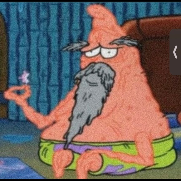 Meet your Posher, Nelly - Picture 1 of 1